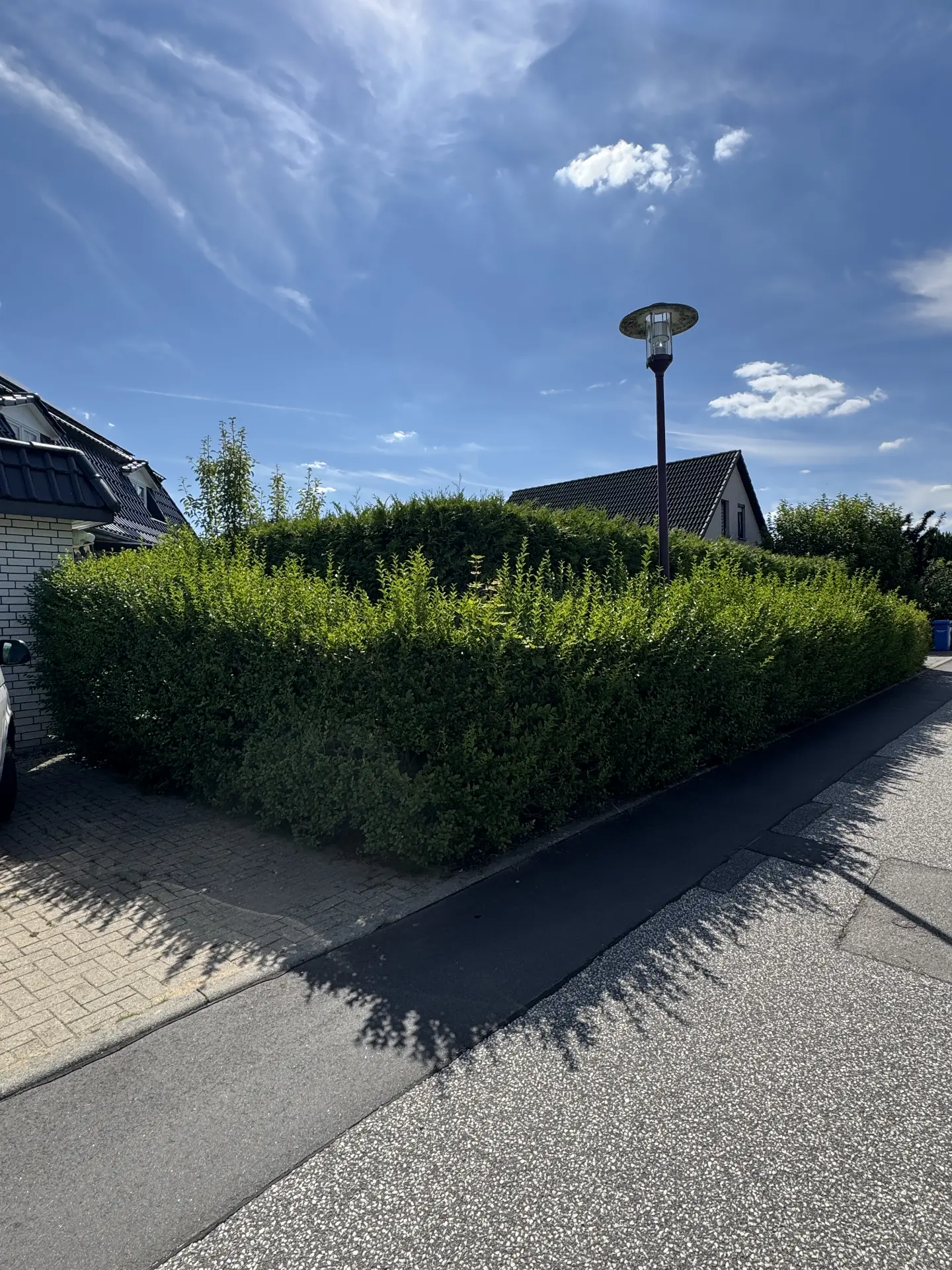 Vorgartenhecke sauber zurückgeschnitten – vorher