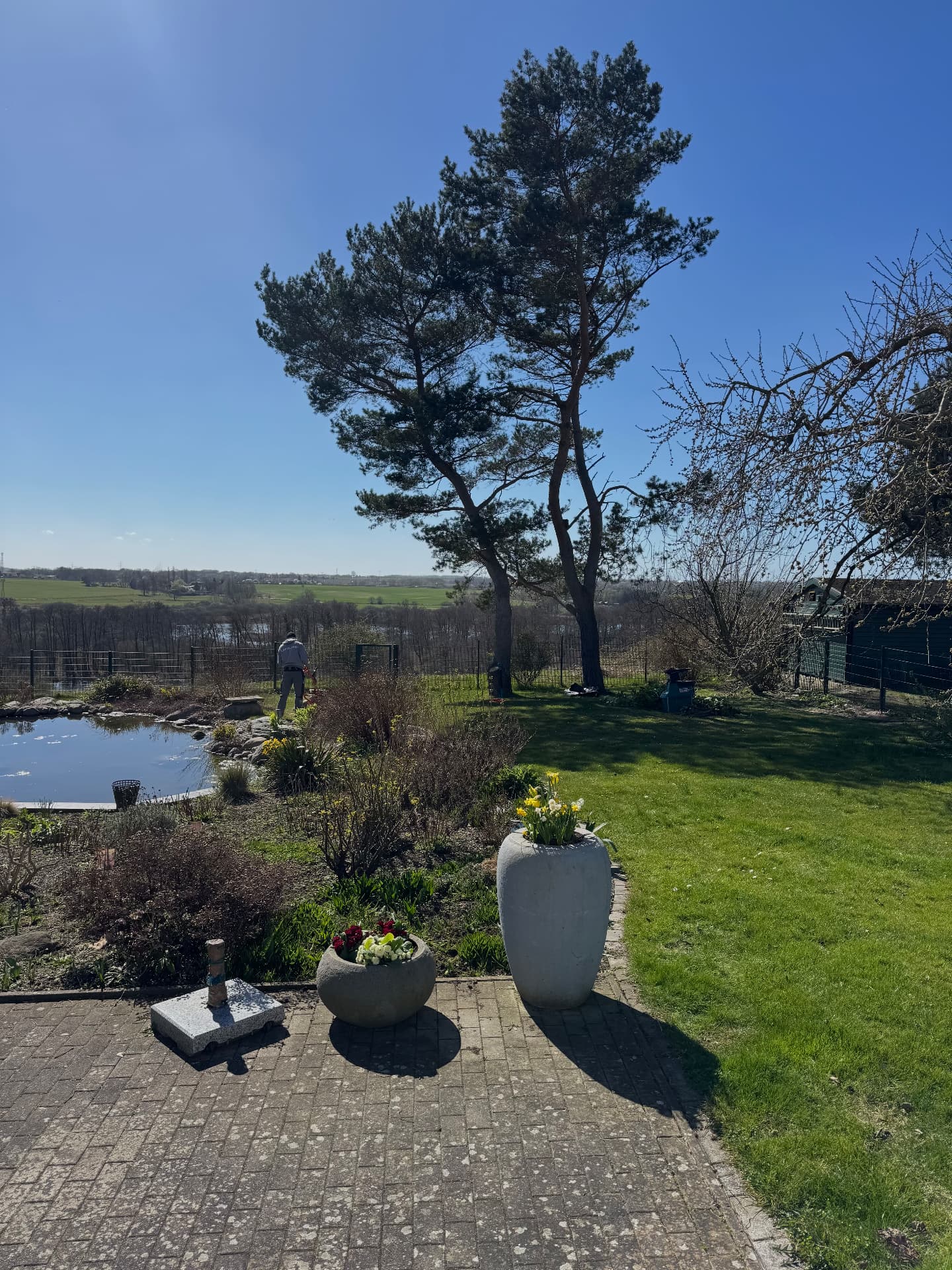 Gepflegter Garten mit Teich, Rasenfläche und Bäumen unter blauem Himmel