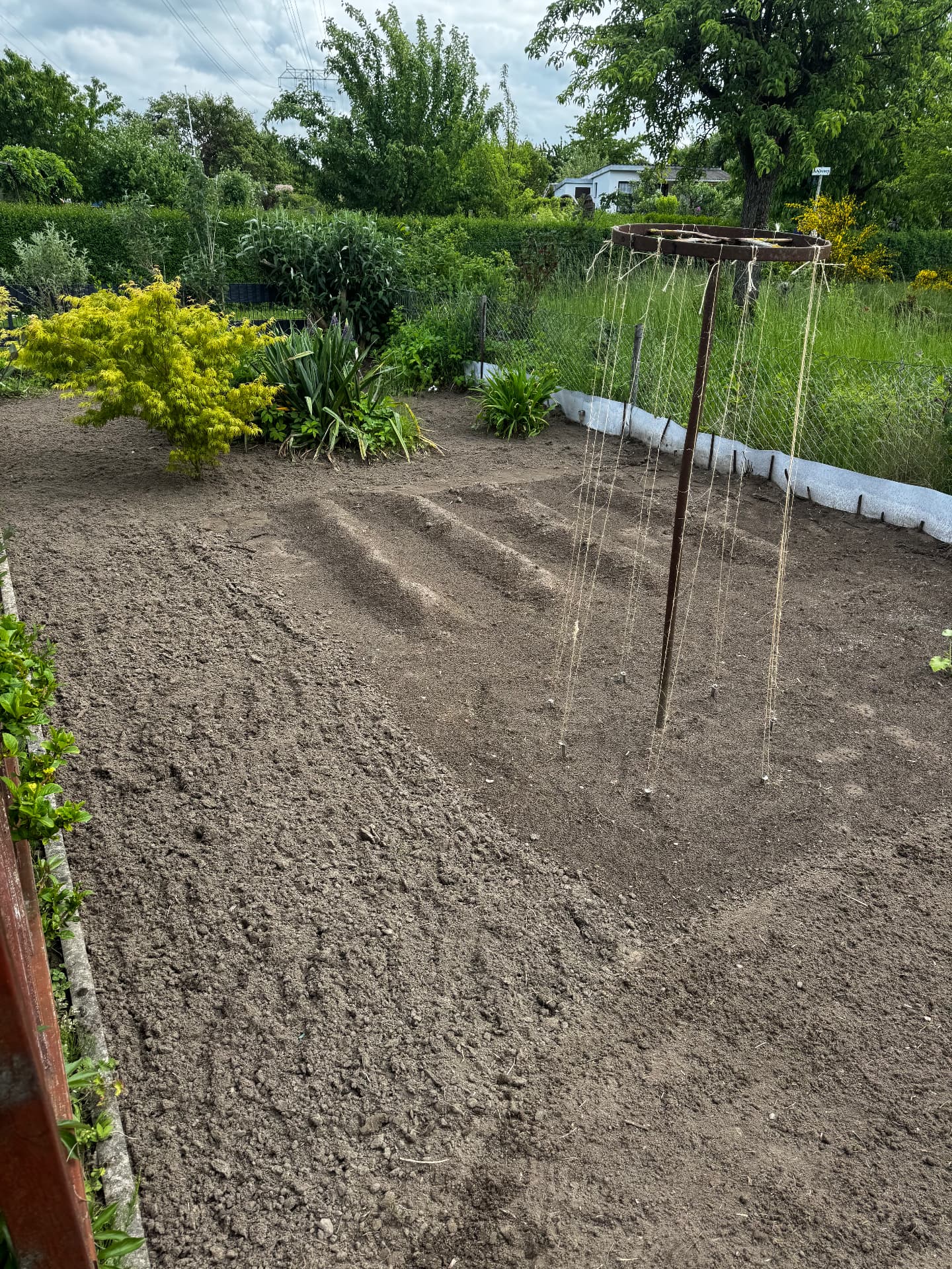 Gartenbeet entkrautet und pflanzfertig gemacht – nachher