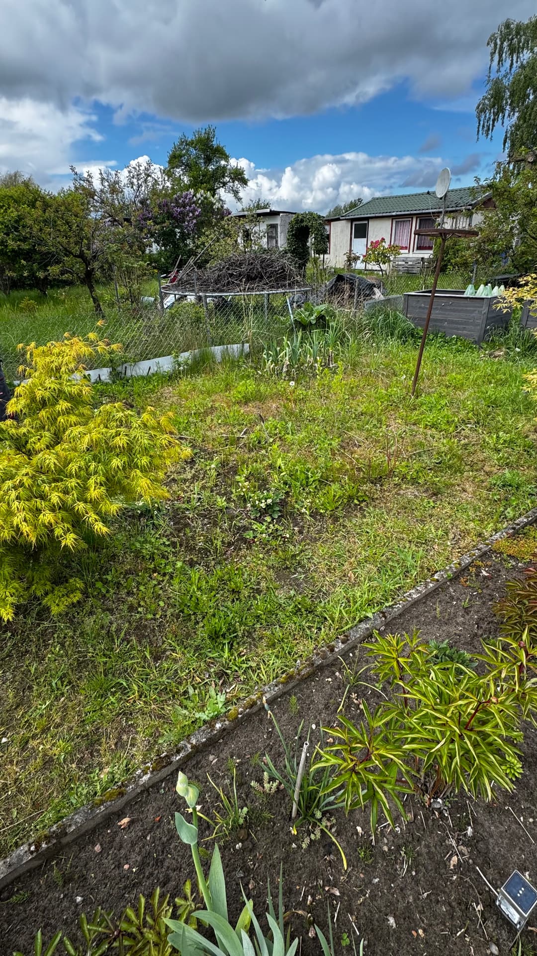 Gartenbeet entkrautet und pflanzfertig gemacht – vorher