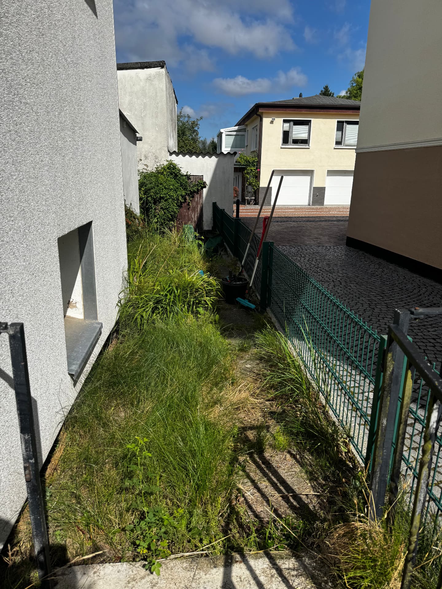 Verwilderter Grünstreifen wieder freigelegt – vorher