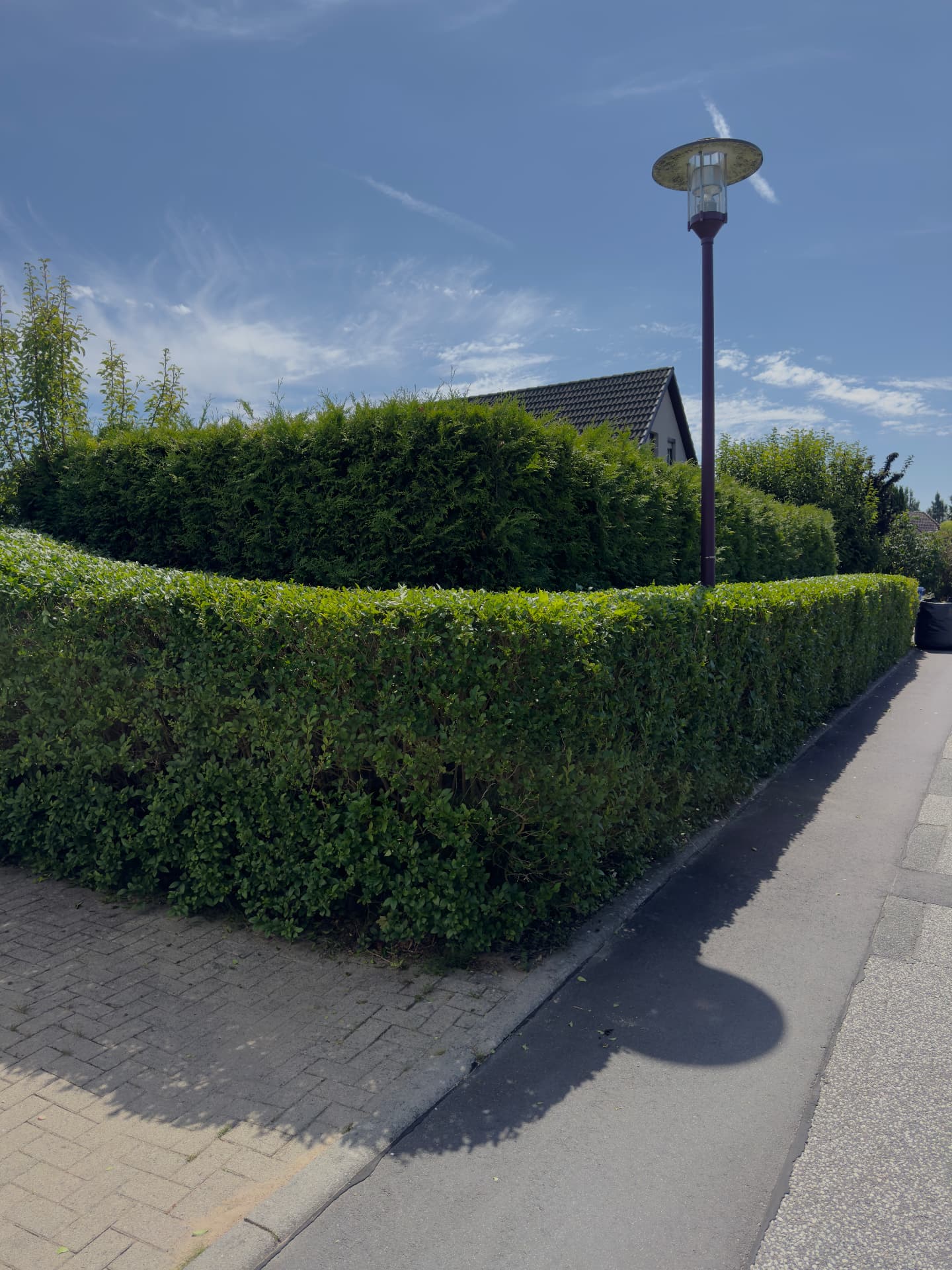 Vorgartenhecke sauber zurückgeschnitten – nachher