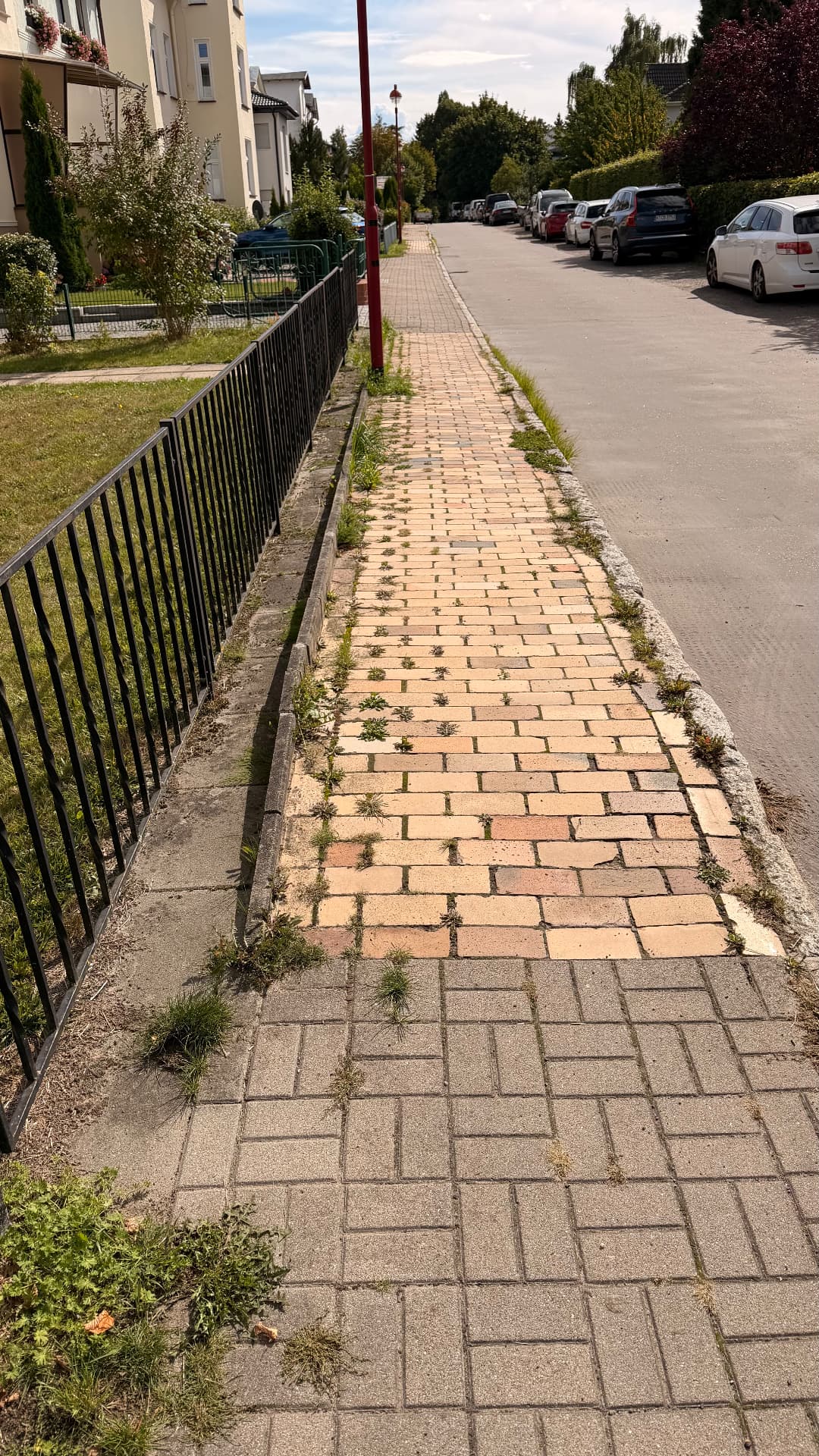 Gehweg entkrautet und gereinigt – vorher