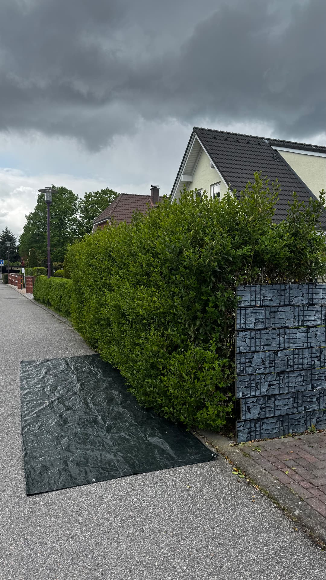 Straßenhecke in Form geschnitten – vorher