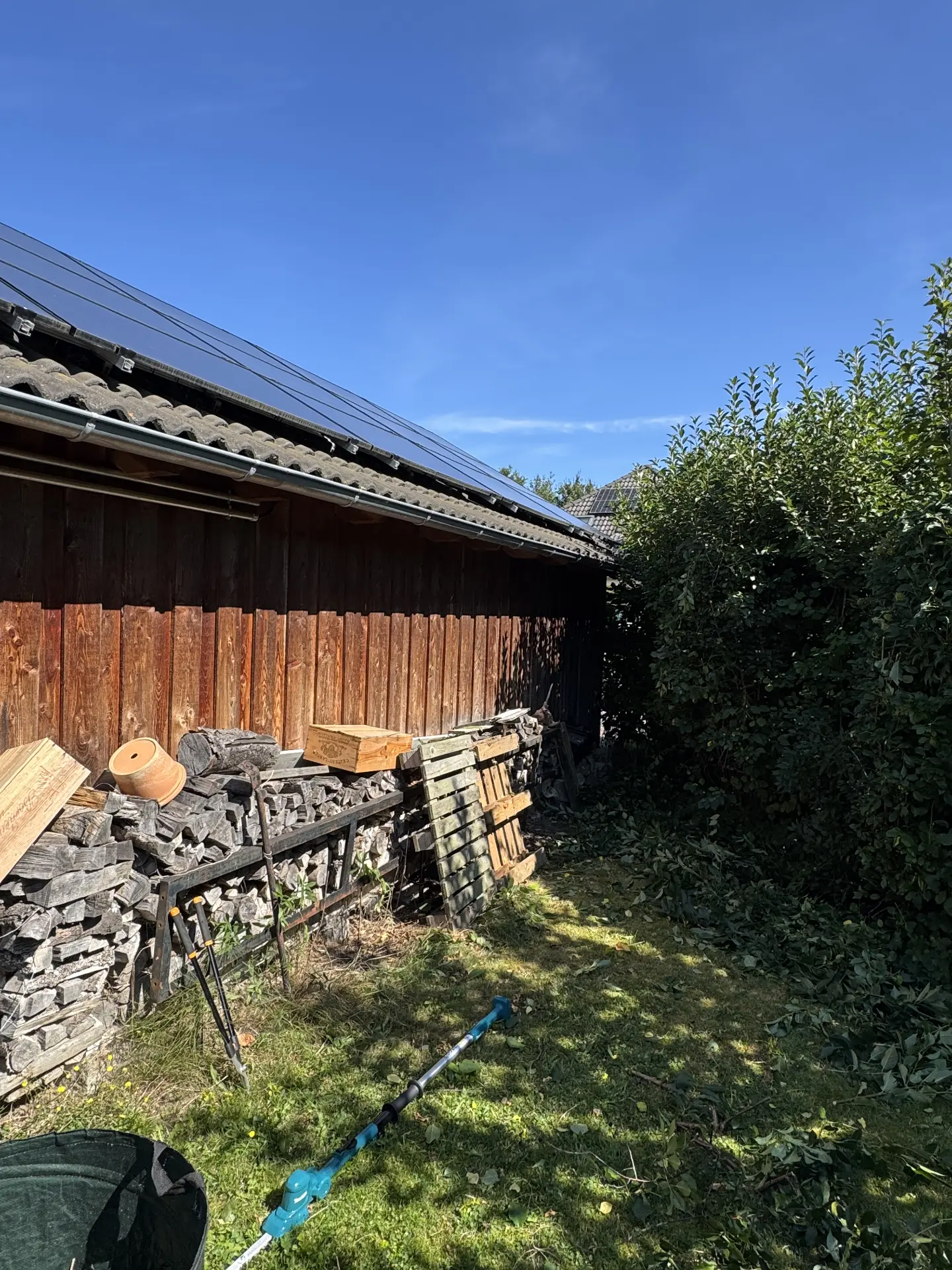 Bewuchs am Schuppen entfernt – nachher