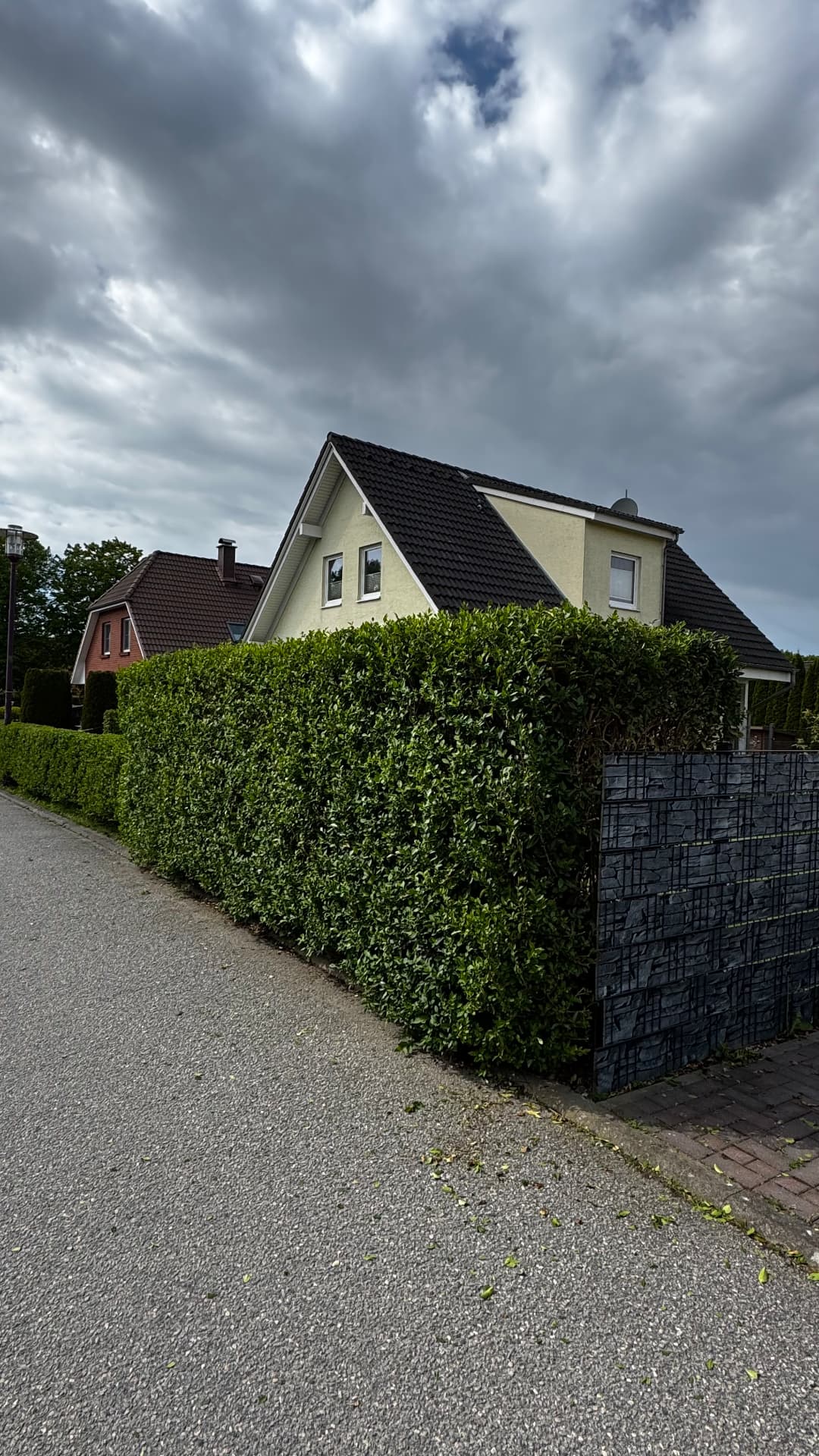 Straßenhecke in Form geschnitten – nachher